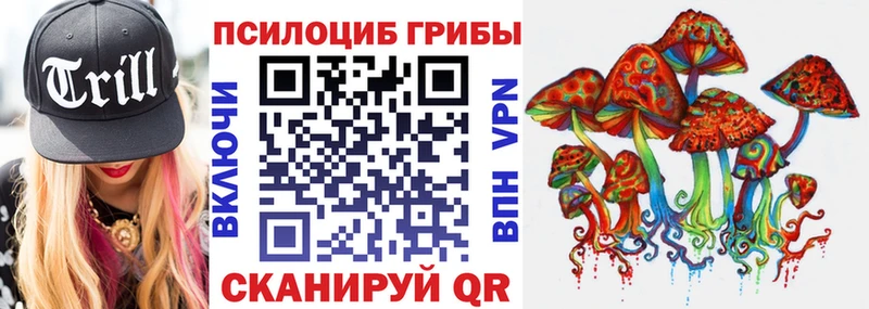 Псилоцибиновые грибы прущие грибы  купить наркотики цена  Камызяк 